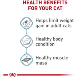 Royal Canin Feline Care Nutrition Weight Care Adult Dry Cat Food & Royal Canin Feline Care Nutrition Weight Care Adult Thin Slices In Gravy Canned Cat Food -Furry Feast 986494 PT4. AC SS1800 V1698672262