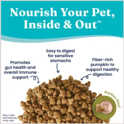 Solid Gold Winged Tiger With Quail & Pumpkin Grain-Free Sensitive Stomach Adult Dry Cat Food -Furry Feast 99335 PT2. AC SS1800 V1696258309