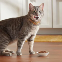 Meow Mix Hairball Control Dry Cat Food -Furry Feast 99929 PT4. AC SS1800 V1661377379