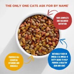 Meow Mix Seafood Medley Dry Cat Food -Furry Feast 99969 PT2. AC SS1800 V1680811275